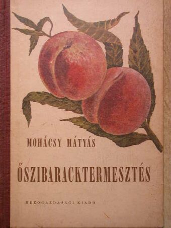 Mohácsy Mátyás - Őszibaracktermesztés [antikvár]