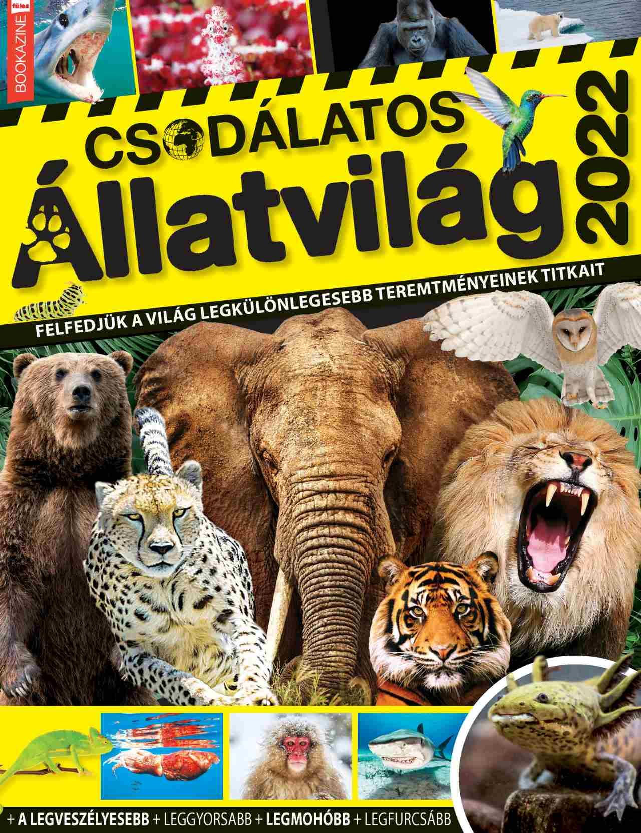 Brezvai Edit - szerk.[szerk.] - Füles Bookazine - Csodálatos állatvilág 2022