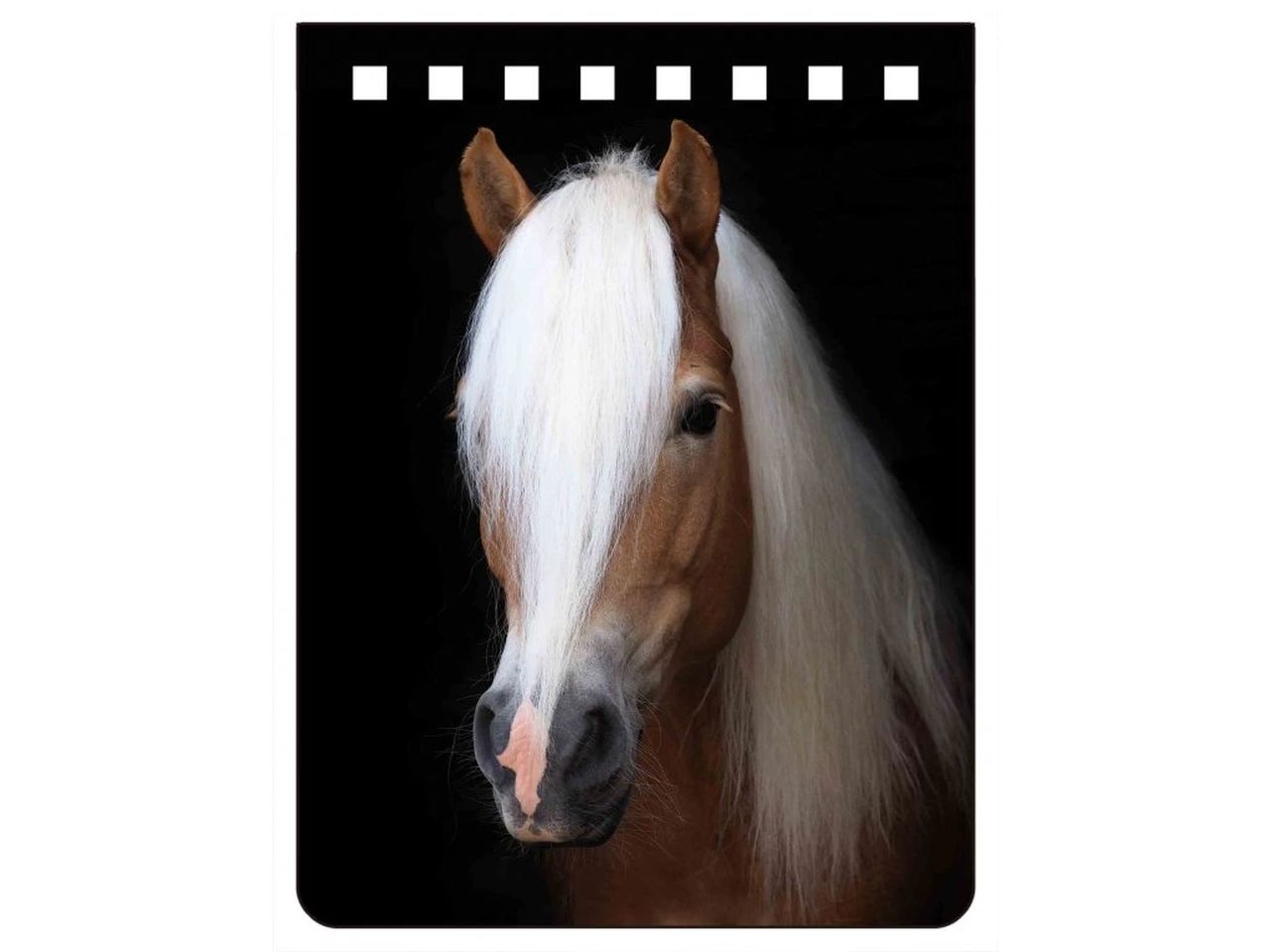 NA702 - Haflinger Notebook A7
