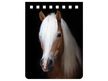 NA702 - Haflinger Notebook A7