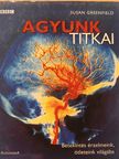 Susan Greenfield - Agyunk titkai [antikvár]