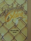 Bencsik Attila - Gyűrűzve Oldva [antikvár]