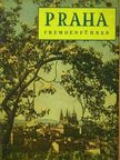 Ivan Pfaff - Praha fremdenführer [antikvár]