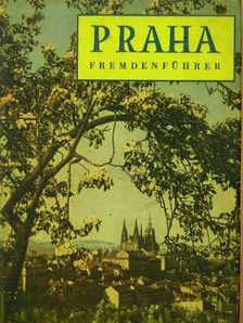 Ivan Pfaff - Praha fremdenführer [antikvár]