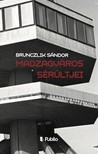 Brunczlik Sándor - Madzagváros sérültjei [eKönyv: epub, mobi]