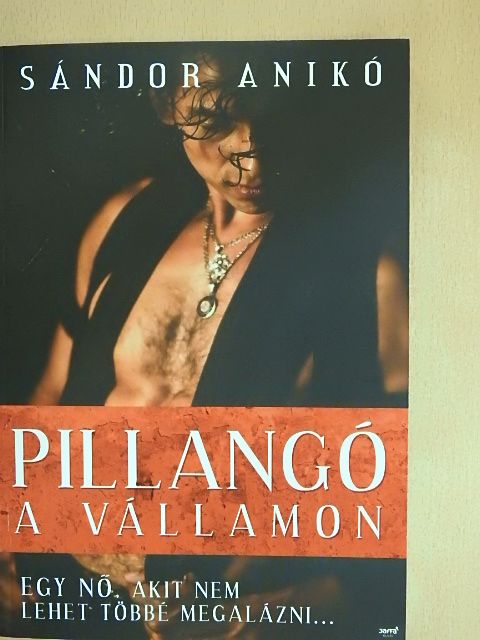 Sándor Anikó - Pillangó a vállamon [antikvár]