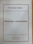 Dr. Lindner Sándor - Munkaügy a gyakorlatban [antikvár]