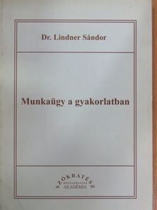 Dr. Lindner Sándor - Munkaügy a gyakorlatban [antikvár]