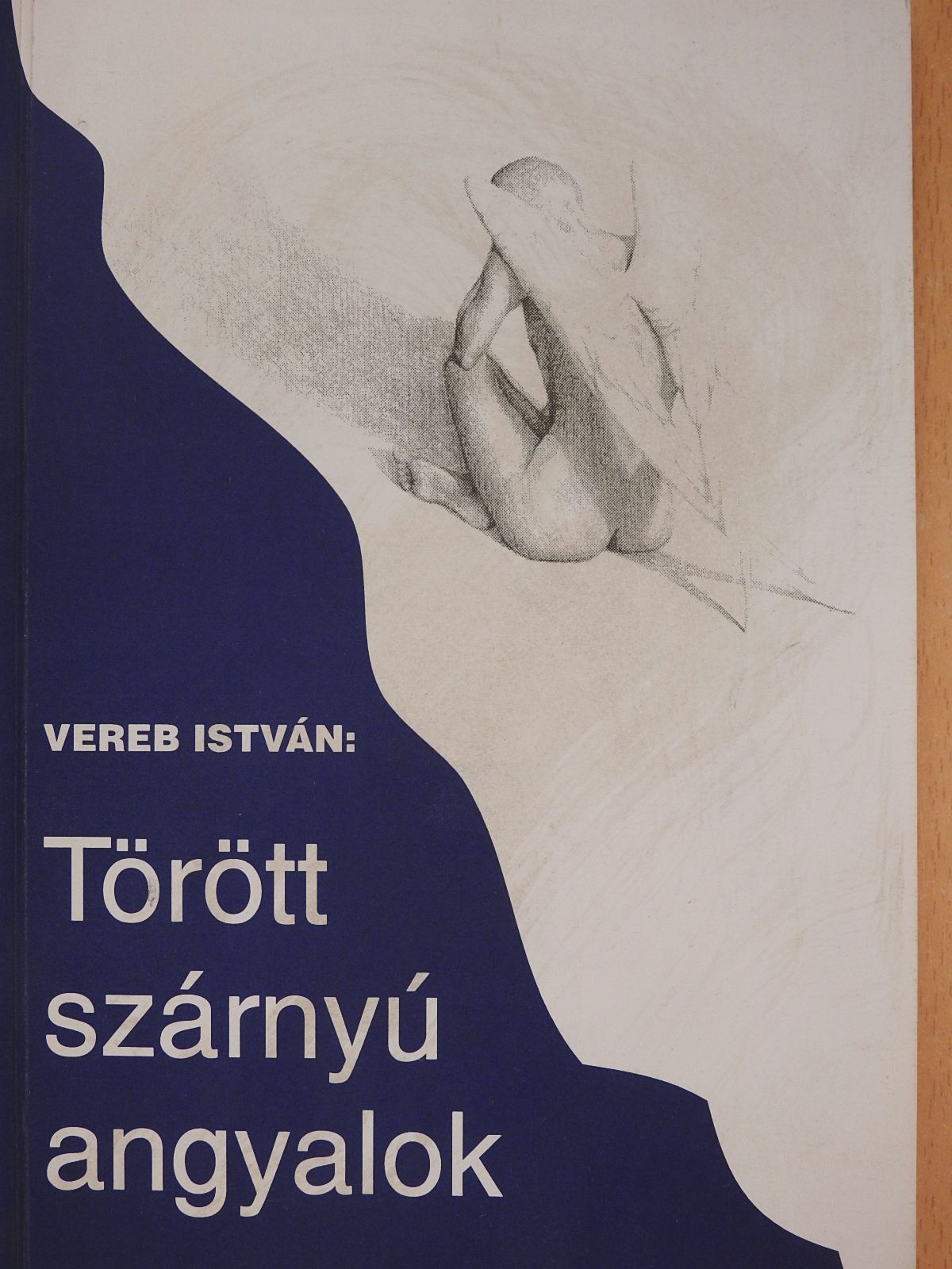 Vereb István - Törött szárnyú angyalok (dedikált példány) [antikvár]