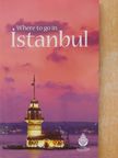 Where to go in Istanbul [antikvár]
