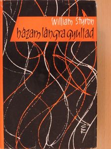 William Styron - Házam lángra gyullad [antikvár]