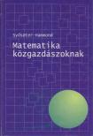 Knut Sydsaeter, Peter I. Hammond - Matematika közgazdászoknak [antikvár]