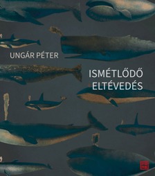 Ungár Péter - Ismétlődő eltévedés
