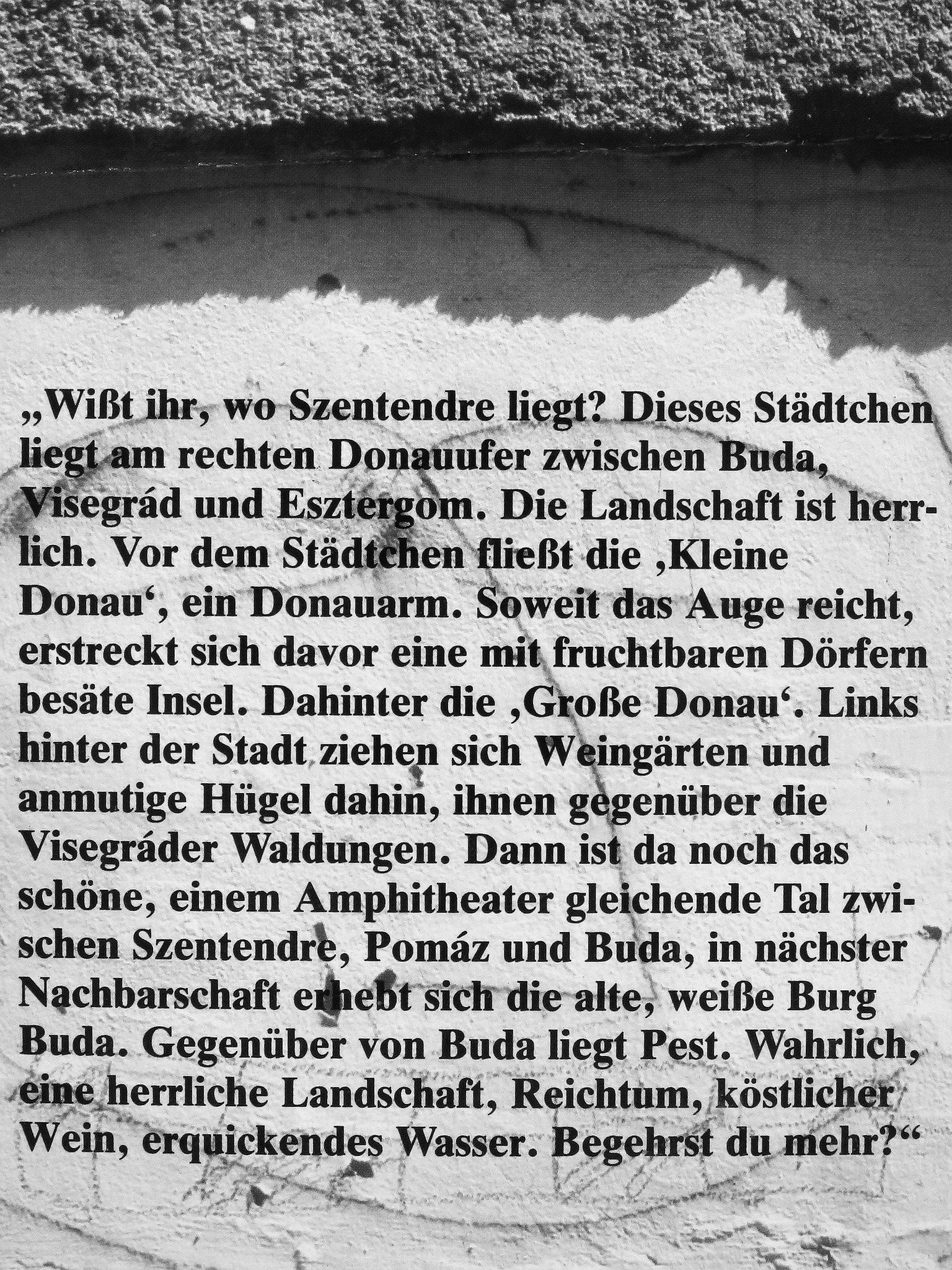 Vujicsics Sztoján - Szentendre [antikvár]