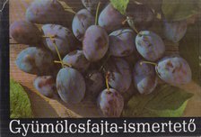 BRÓZIK SÁNDOR - Gyümölcsfajta-ismertető [antikvár]