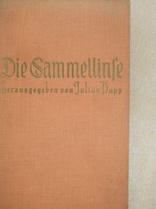 Die Sammellinse [antikvár]