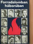 Árokay Lajos - Forradalomban, háborúban [antikvár]