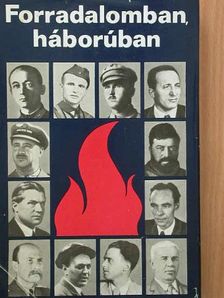 Árokay Lajos - Forradalomban, háborúban [antikvár]