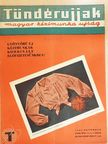 Cserny Éva - Tündérujjak 1942. november [antikvár]