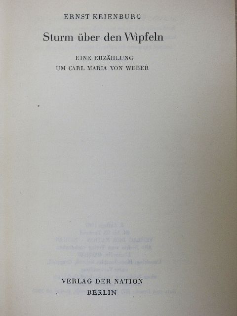 Ernst Keienburg - Sturm über den Wipfeln [antikvár]