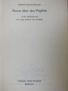 Ernst Keienburg - Sturm über den Wipfeln [antikvár]