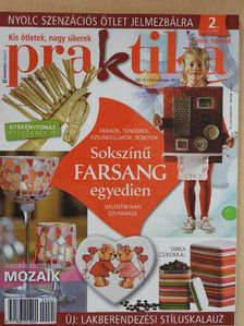 Praktika 2009. február [antikvár]