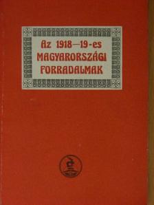 Hetés Tibor - Az 1918-19-es magyarországi forradalmak [antikvár]