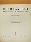 Michelangelo [antikvár]