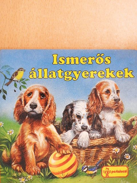 E. Jentner - Ismerős állatgyerekek [antikvár]