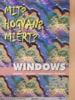 Bártfai Barnabás - Windows [antikvár]