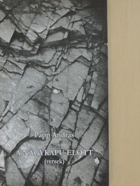 Papp András - A nagykapu előtt [antikvár]