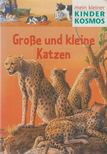 Arnold, Silke, Vöhringer, Denise - Große und kleine Katzen [antikvár]