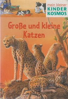 Arnold, Silke, Vöhringer, Denise - Große und kleine Katzen [antikvár]