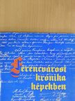 Xantus Zoltán - Ferencvárosi krónika képekben [antikvár]