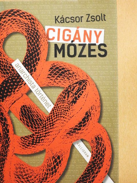 Kácsor Zsolt - Cigány Mózes [antikvár]