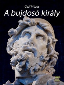 GAÁL MÓZES - A bujdosó király [eKönyv: epub, mobi]