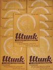 Dr. Városi István - Utunk 1941. szeptember -1942. augusztus [antikvár]