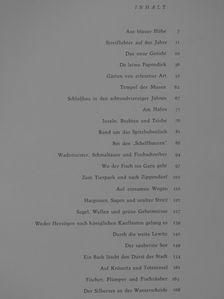 Fritz Meyer-Scharffenberg - Schwerin und seine sieben Seen [antikvár]