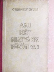 Csermely Gyula - Ami két miatyánk között van I-II. [antikvár]