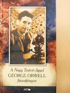 George Orwell - A Nagy Testvér figyel [antikvár]