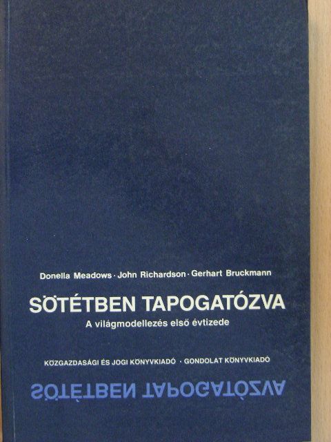 Donatella Meadows - Sötétben tapogatózva [antikvár]