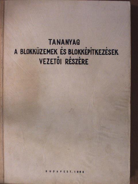 Csibrik Gyula - Tananyag a blokküzemek és blokképítkezések vezetői részére [antikvár]