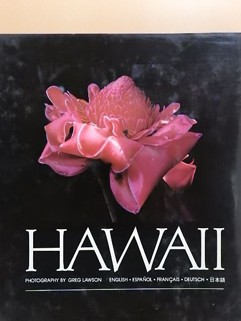 David Michaels - Hawaii [antikvár]