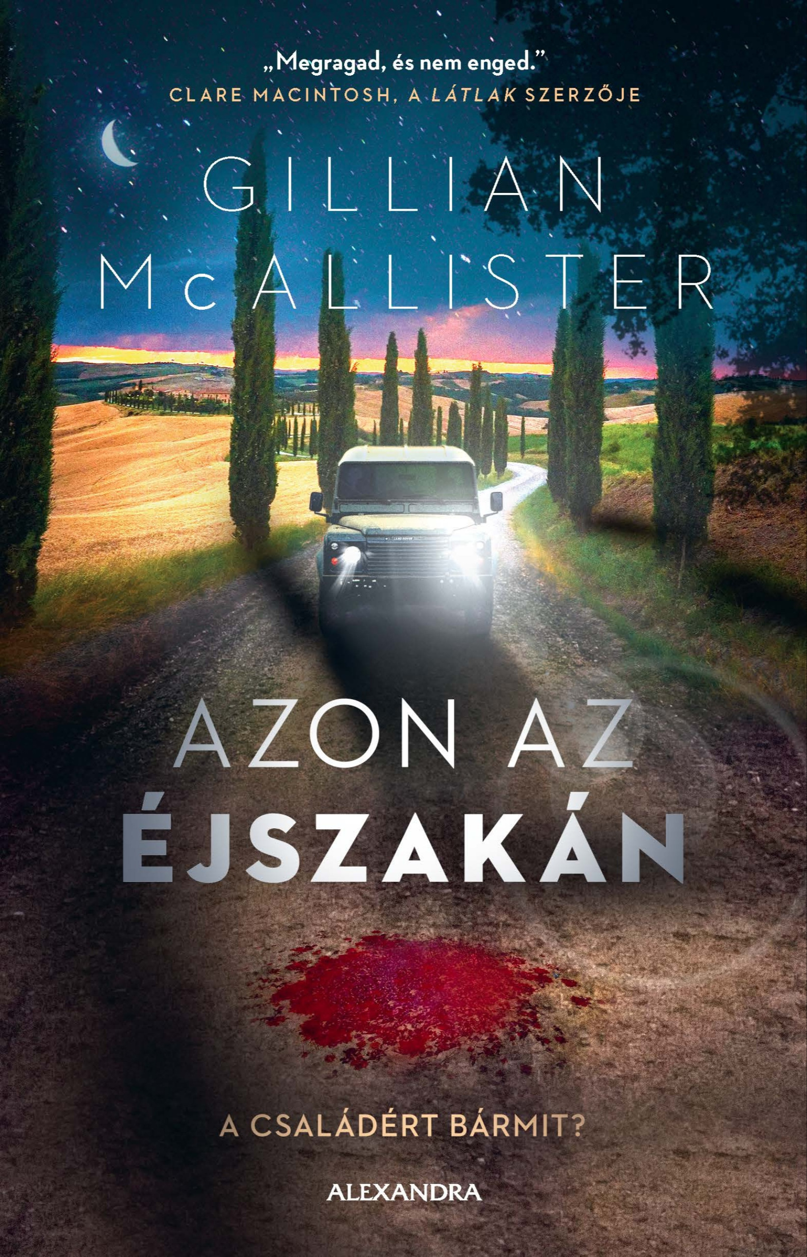Gillian McAllister - Azon az éjszakán [eKönyv: epub, mobi]