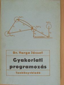 Dr. Varga József - Gyakorlati programozás [antikvár]