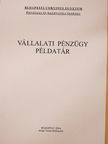 Vállalati pénzügy példatár [antikvár]