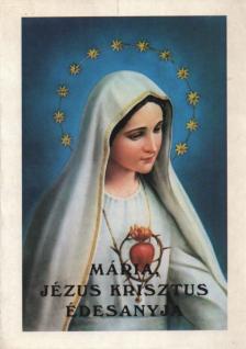 Mária, Jézus Krisztus édesanyja [antikvár]