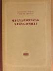 Bánhegyi József - Magyarország nagygombái [antikvár]