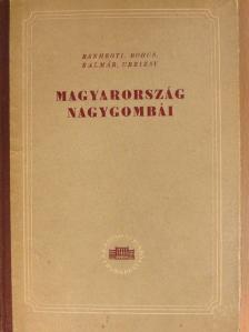 Bánhegyi József - Magyarország nagygombái [antikvár]
