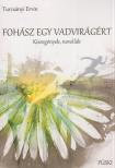 Turcsányi Ervin[szerk.] - Fohász egy vadvirágért.